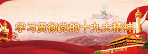 學習(xi) 貫徹黨(dang) 的十九大精神專(zhuan) 題